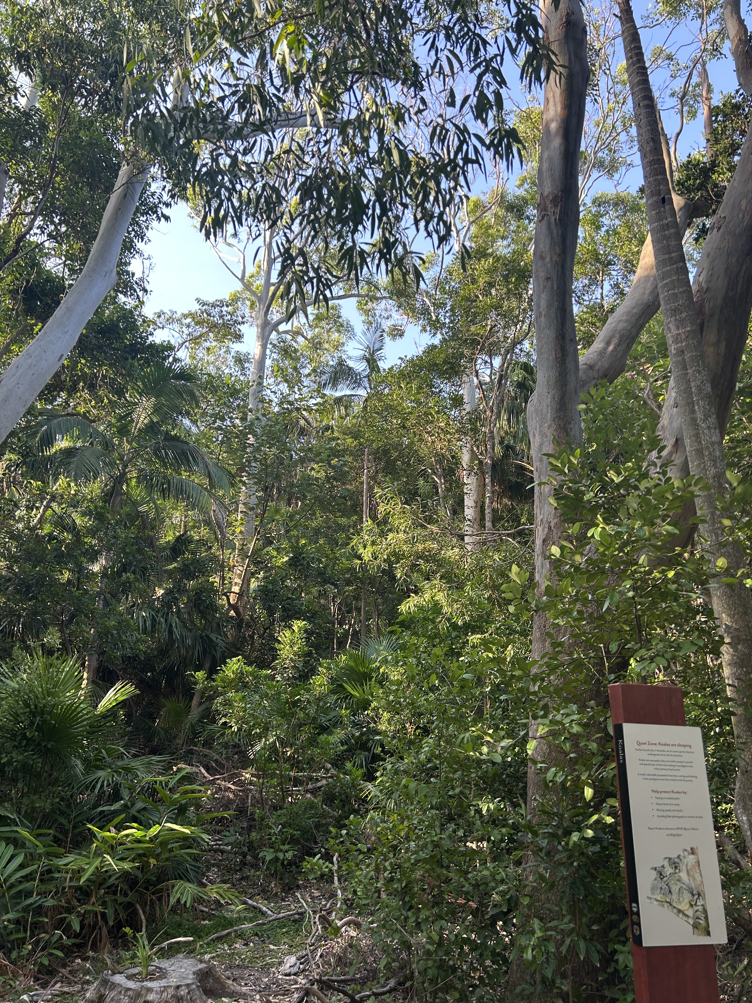 Natur på Lighthouse Walk